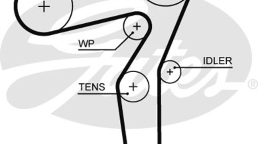 Curea de distributie (GAT5650XS GATES) ALFA ROMEO,FIAT,OPEL,SAAB,SUZUKI,VAUXHALL