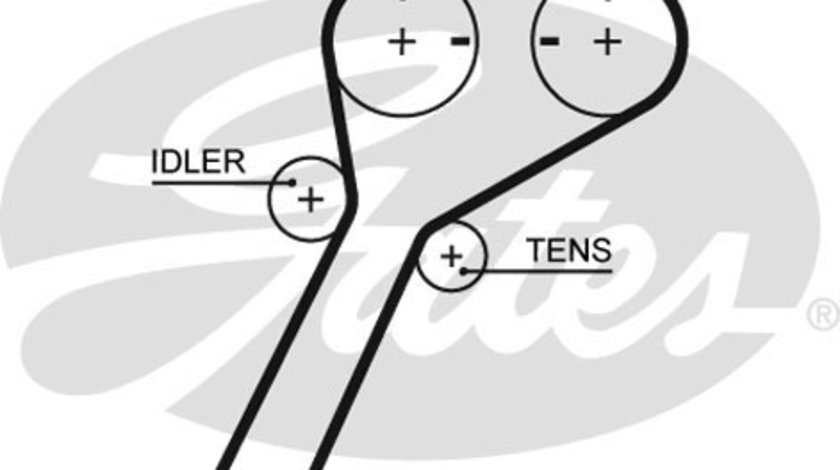 Curea de distributie (GAT5651XS GATES) FORD,FORD ASIA / OCEANIA,FORD AUSTRALIA,MAZDA