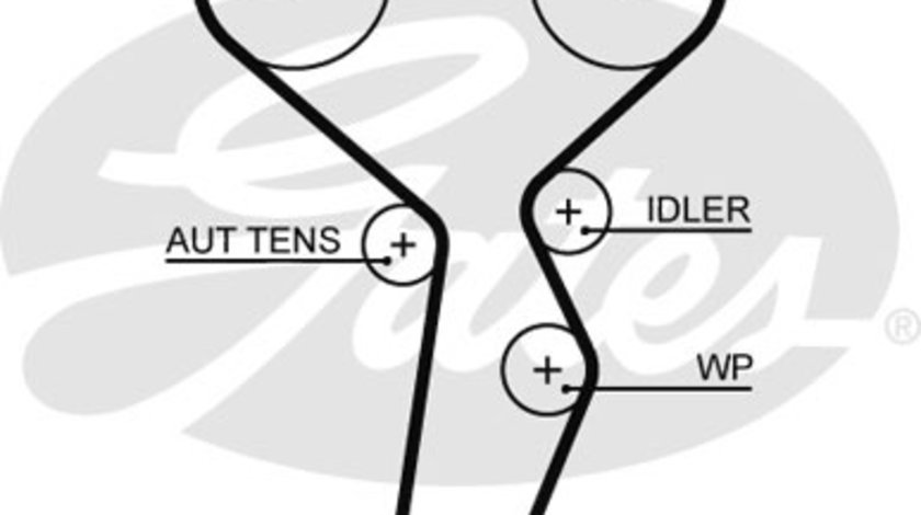 Curea de distributie (GAT5671XS GATES) DACIA,LADA,NISSAN,RENAULT