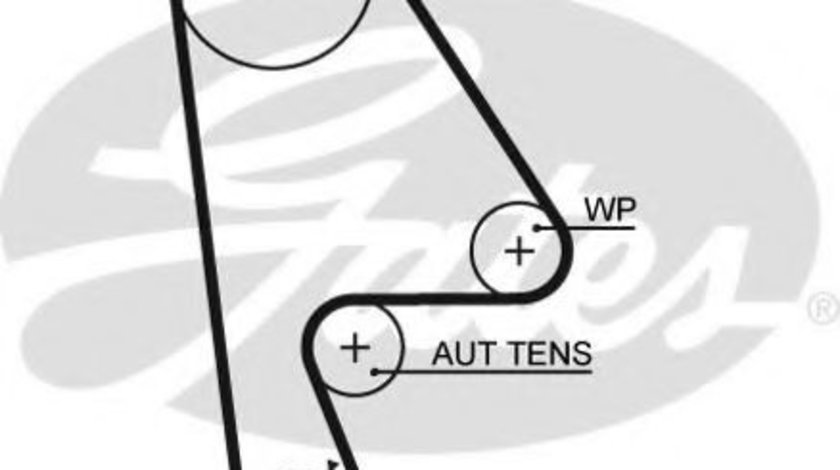 Curea de distributie HONDA ACCORD VI (CG, CK) (1997 - 2003) GATES 5410XS piesa NOUA