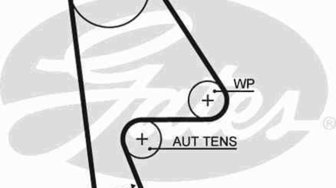 Curea de distributie HONDA CIVIC VI Aerodeck (MB, MC) GATES 5410XS