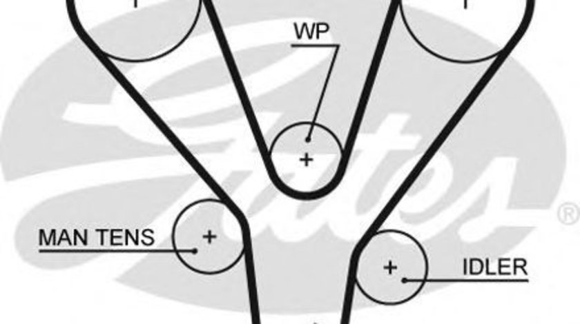 Curea de distributie HYUNDAI COUPE (GK) (2001 - 2009) GATES 5555XS piesa NOUA