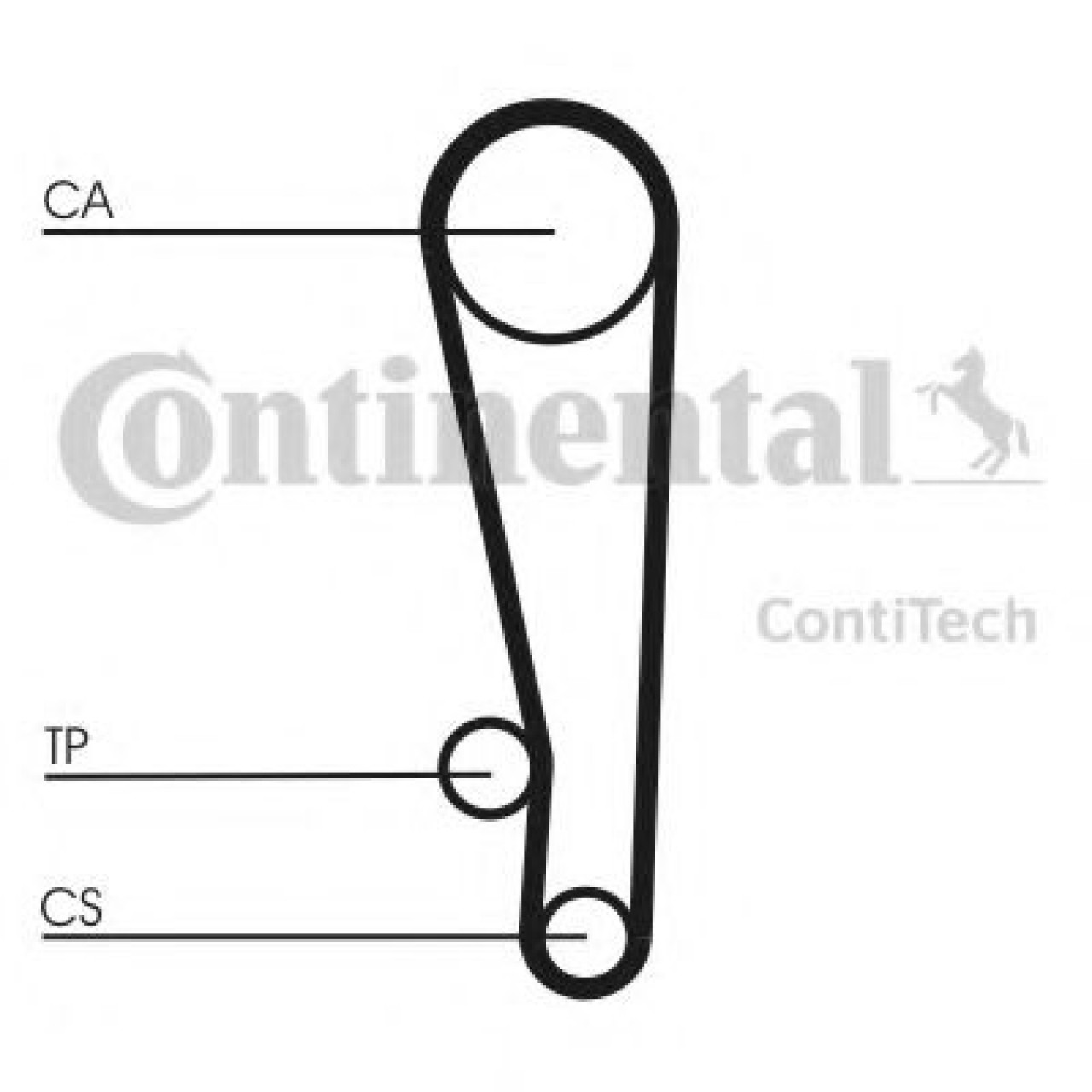 Curea de distributie HYUNDAI GETZ (TB) (2002 - 2010) CONTITECH CT1013 piesa NOUA
