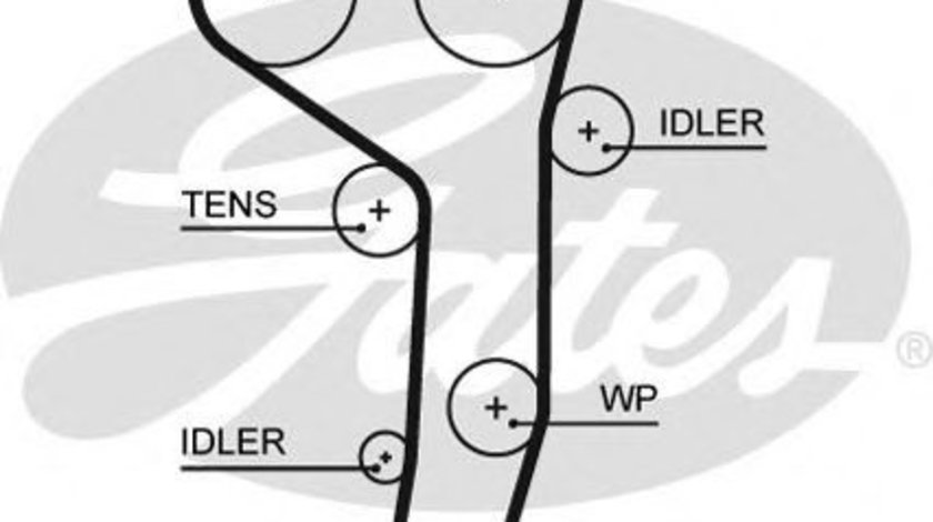 Curea de distributie JEEP COMPASS (MK49) (2006 - 2016) GATES 5607XS piesa NOUA