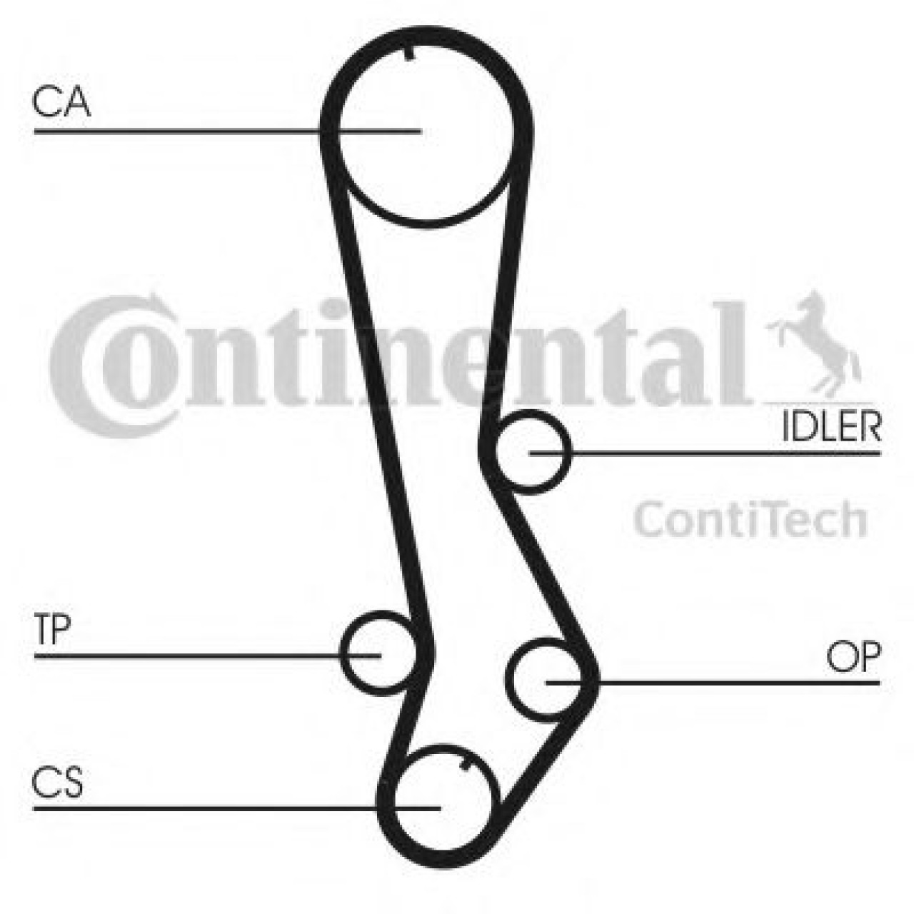 Curea de distributie LEXUS IS SportCross (2001 - 2005) CONTITECH CT876 piesa NOUA