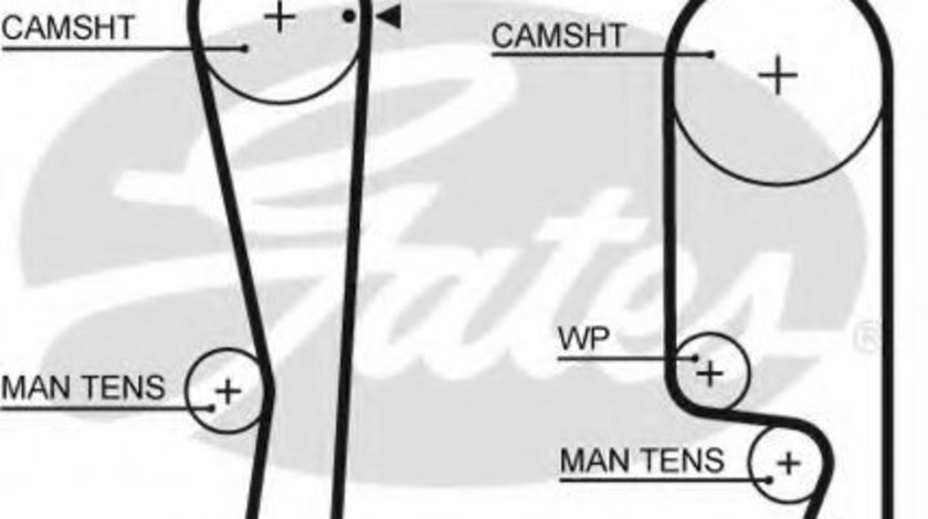 Curea de distributie MITSUBISHI COLT V (CJ, CP) (1995 - 2003) GATES 5535XS piesa NOUA