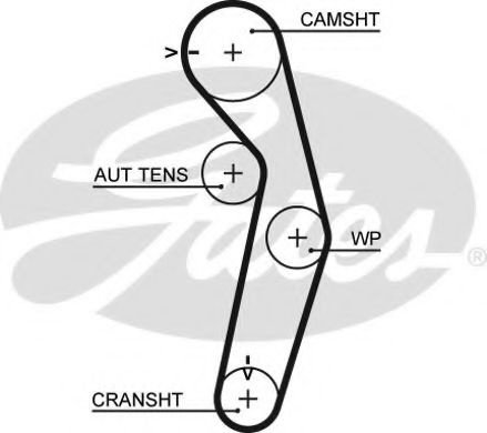 Curea de distributie MITSUBISHI COLT V (CJ, CP) (1995 - 2003) GATES 5445XS piesa NOUA