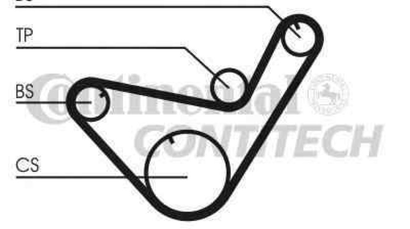 Curea de distributie MITSUBISHI PAJERO I Canvas Top (L04_G) CONTITECH CT714