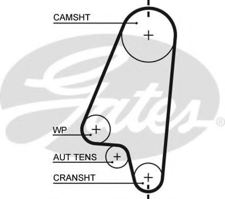 Curea de distributie OPEL ASTRA F Hatchback (53, 54, 58, 59) (1991 - 1998) GATES 5310XS piesa NOUA