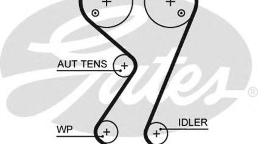 Curea de distributie PEUGEOT 307 (3A/C) (2000 - 2016) GATES 5608XS piesa NOUA