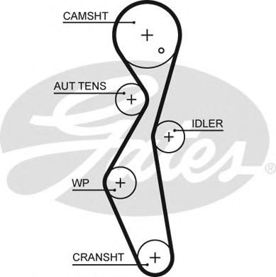 Curea de distributie PEUGEOT EXPERT caroserie (VF3A, VF3U, VF3X) (2007 - 2016) GATES 5672XS piesa NO...