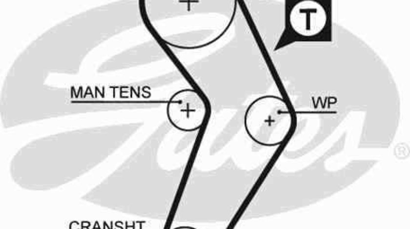 Curea de distributie RENAULT CLIO I (B/C57_, 5/357_) GATES 5192XS