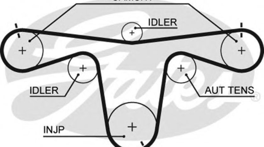 Curea de distributie RENAULT ESPACE IV (JK0/1) (2002 - 2015) GATES 5594XS piesa NOUA