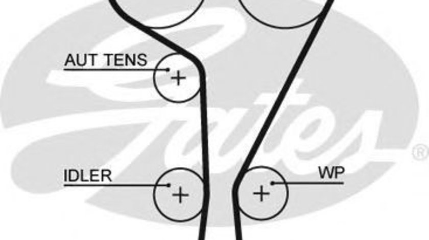 Curea de distributie RENAULT LAGUNA II (BG0/1) (2001 - 2016) GATES 5550XS piesa NOUA