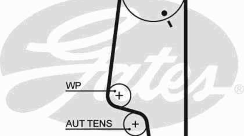 Curea de distributie SEAT CORDOBA (6K2) GATES 5428XS