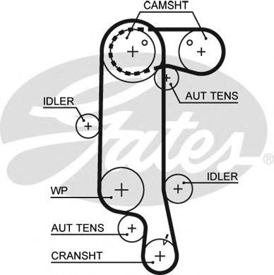 Curea de distributie SEAT LEON (1M1) (1999 - 2006) GATES 5565XS piesa NOUA