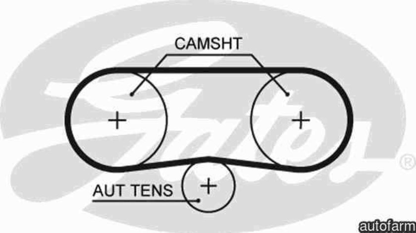 Curea de distributie SEAT LEON (1M1) GATES 5516XS