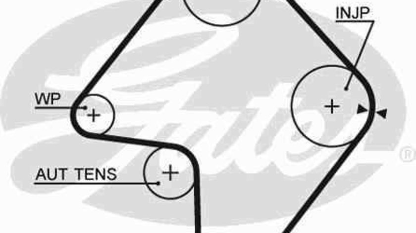 Curea de distributie SUZUKI GRAND VITARA I (FT, GT) GATES 5355XS