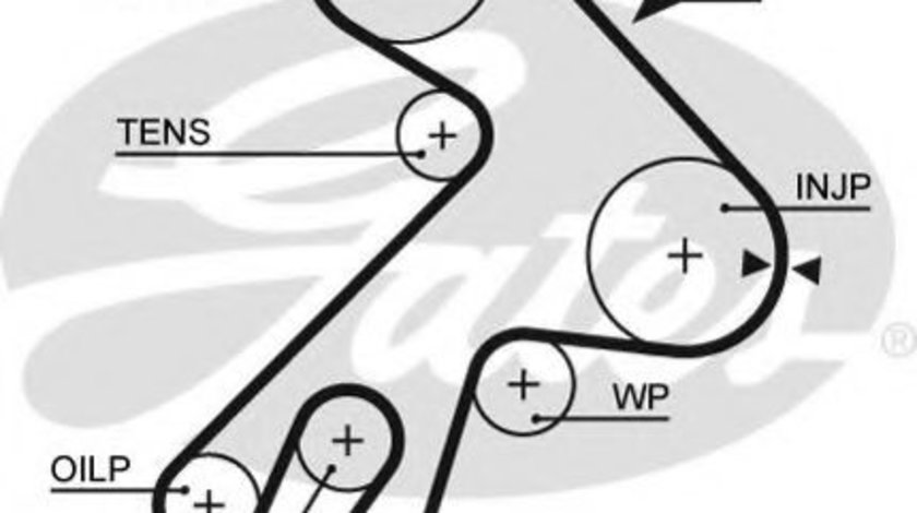 Curea de distributie TOYOTA COROLLA Wagon (E11) (1997 - 2001) GATES 5057XS piesa NOUA