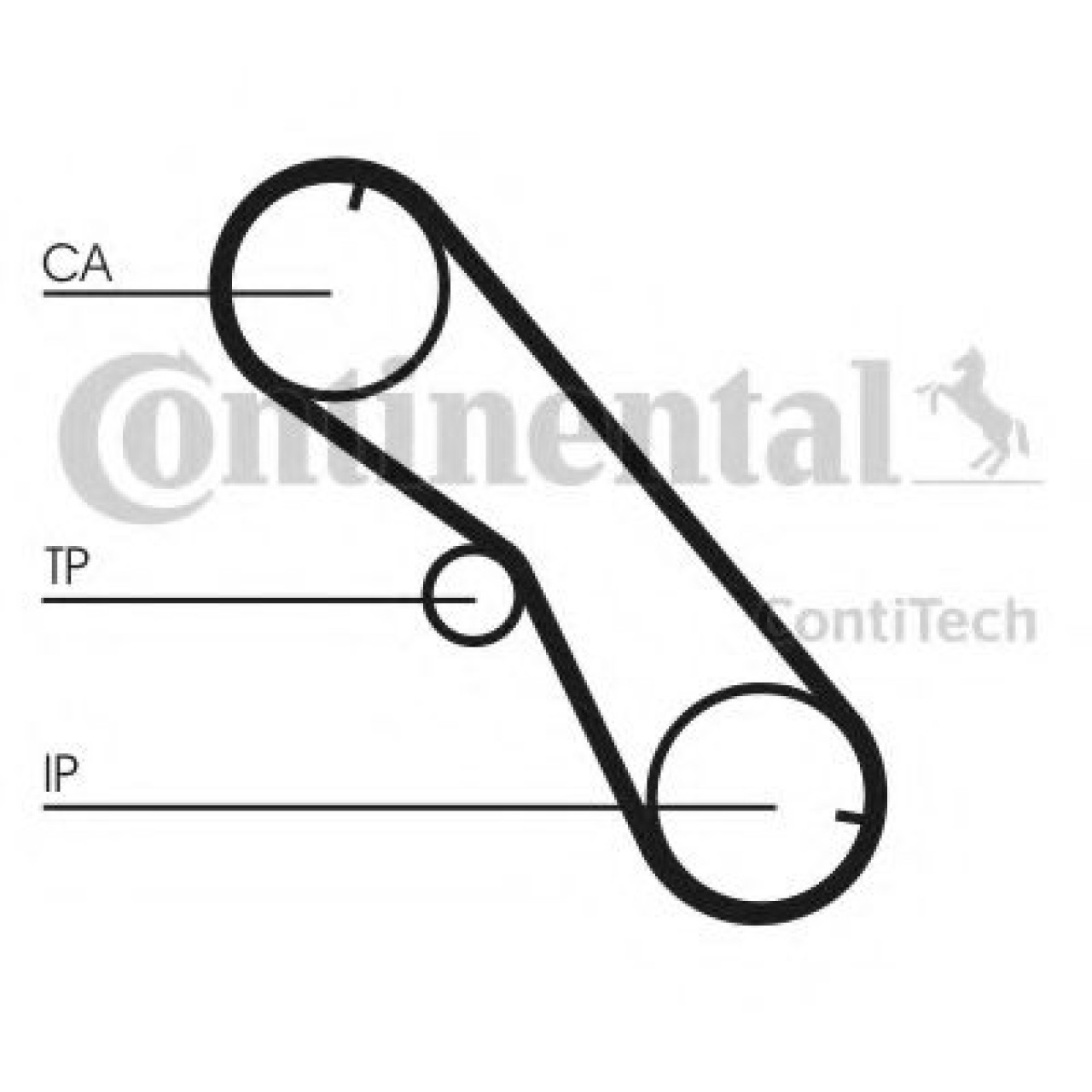 Curea de distributie TOYOTA HILUX II pick-up (LN8, RN5, LN6, YN6, YN5, LN5, RN6) (1983 - 2005) CONTITECH CT1089 piesa NOUA