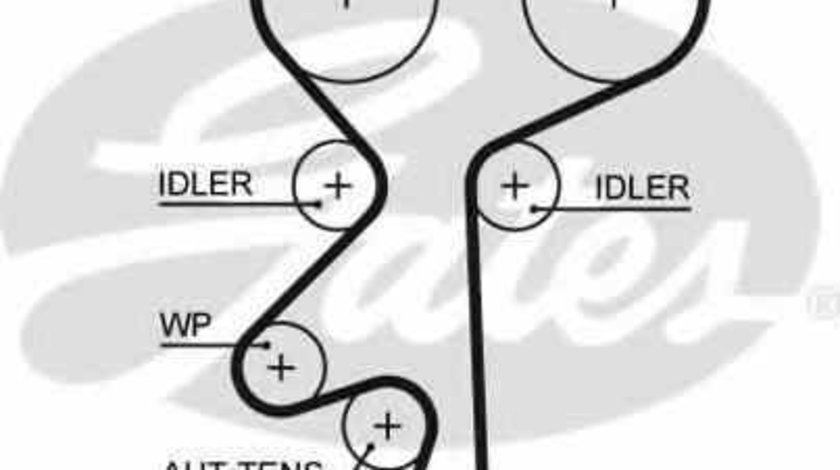 Curea de distributie VAUXHALL ASTRA Mk IV G combi GATES 5542XS