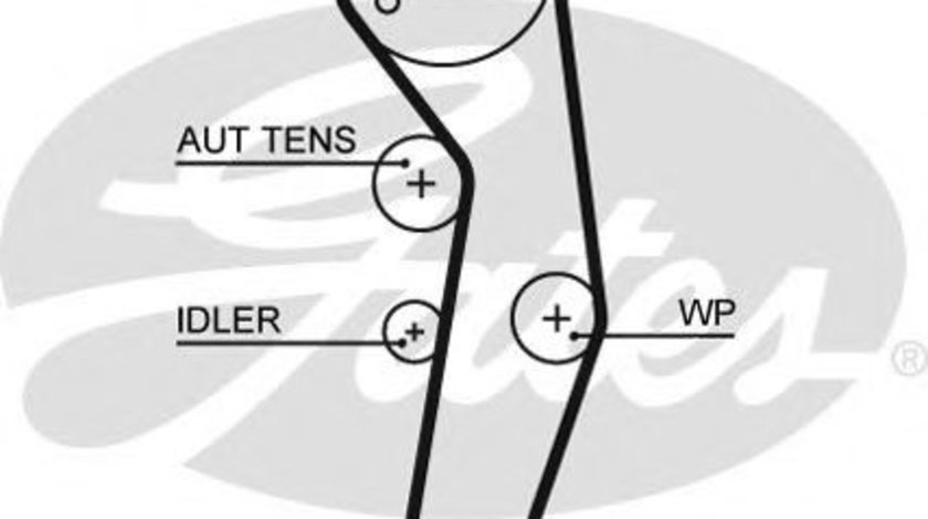 Curea de distributie VW LUPO (6X1, 6E1) (1998 - 2005) GATES 5569XS piesa NOUA