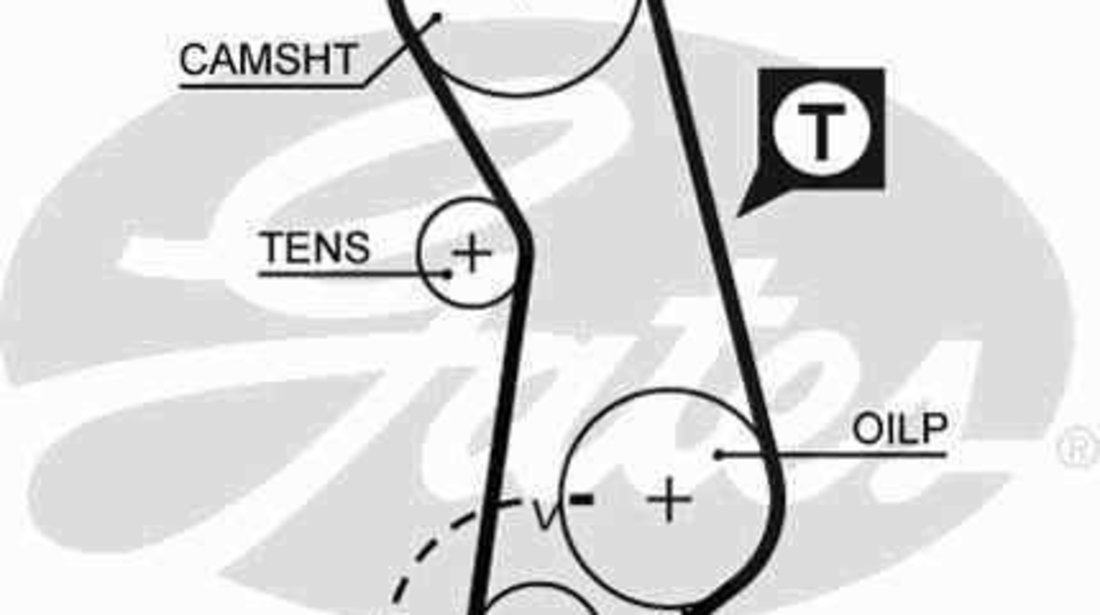 Curea de distributie VW PASSAT (32B) GATES 5016