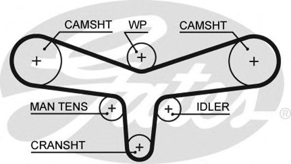 Curea de distributie VW PASSAT (3B3) (2000 - 2005) GATES 5557XS piesa NOUA