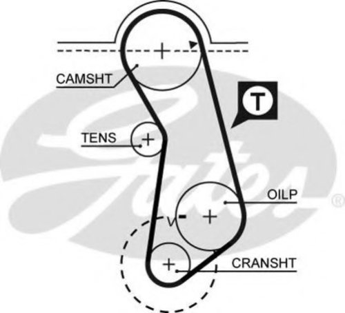Curea de distributie VW TRANSPORTER IV bus (70XB, 70XC, 7DB, 7DW, 7DK) (1990 - 2003) GATES 5016 pies...