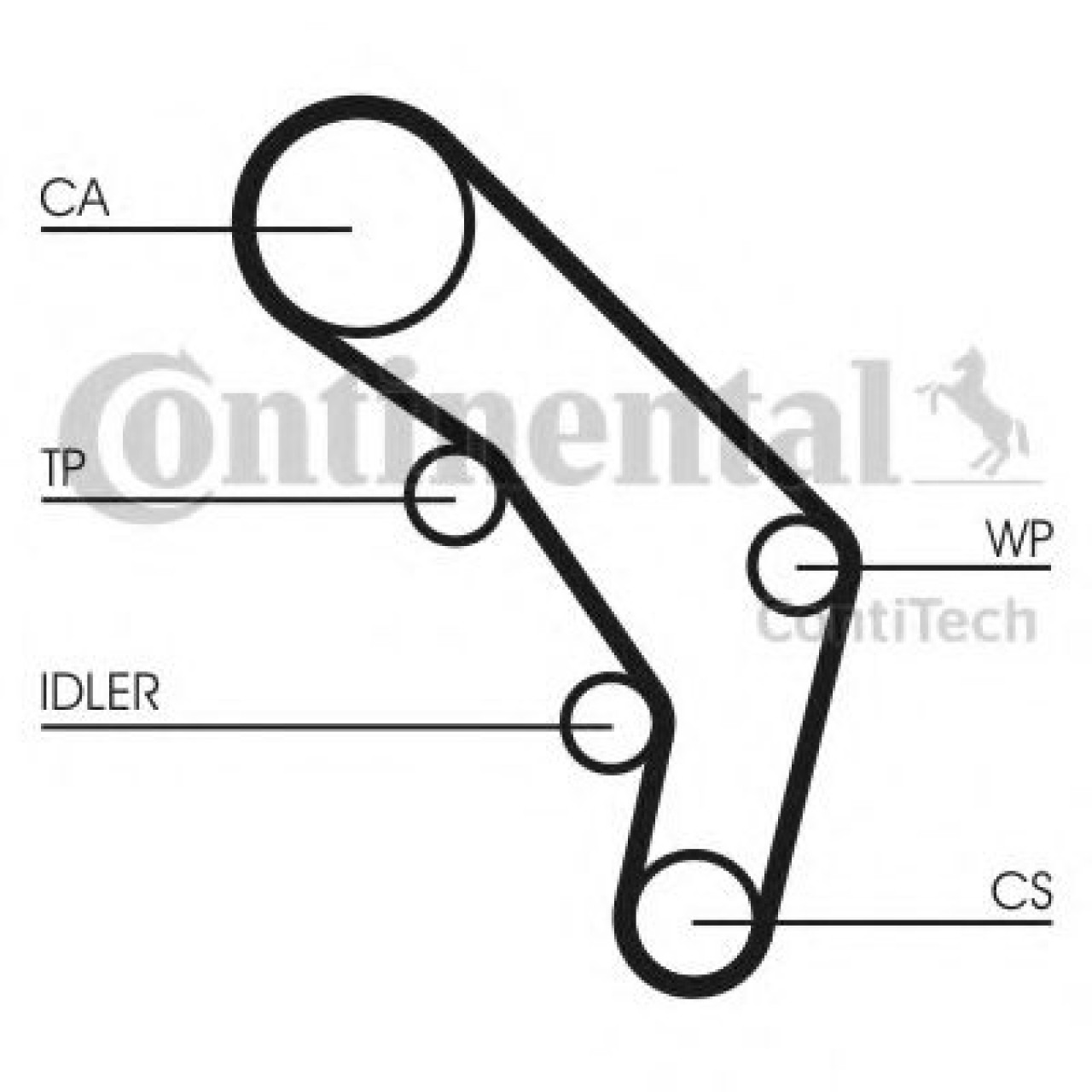 Curea de distributie VW TRANSPORTER IV bus (70XB, 70XC, 7DB, 7DW, 7DK) (1990 - 2003) CONTITECH CT755 piesa NOUA