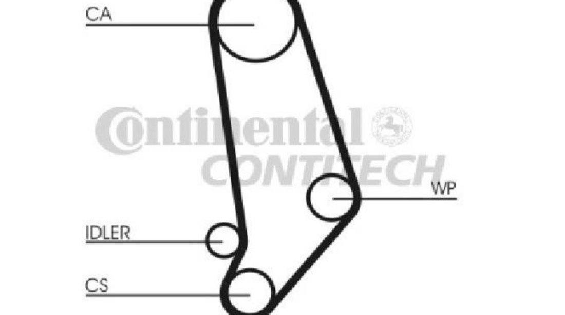 Curea distributie Audi 80 (1978-1986) [81, 85, B2] 034 109 119