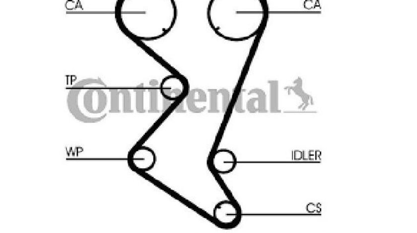 Curea distributie Citroen Evasion (1994-2002) [22, U6] 0816A1