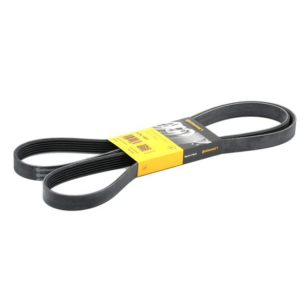 Curea Transmisie Contitech Opel Antara 2006→ 6PK1893