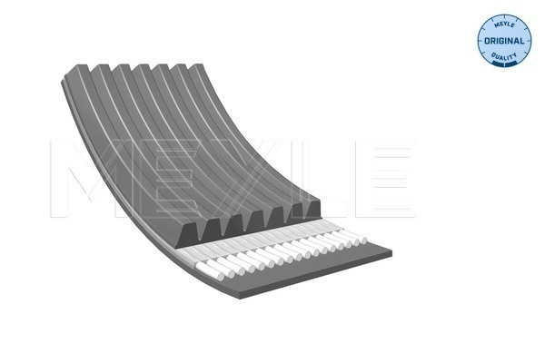 Curea transmisie cu caneluri (0500071173 MEYLE) ALFA ROMEO,FIAT,LANCIA,MINI
