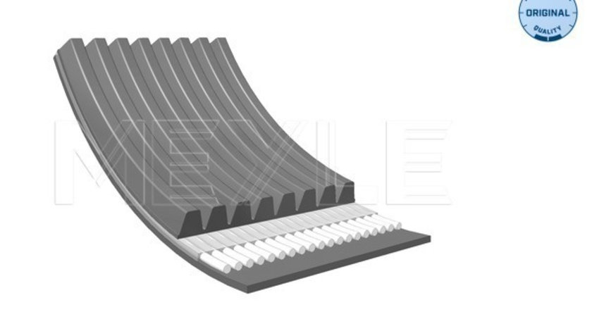 Curea transmisie cu caneluri (0500082465 MEYLE) MERCEDES-BENZ
