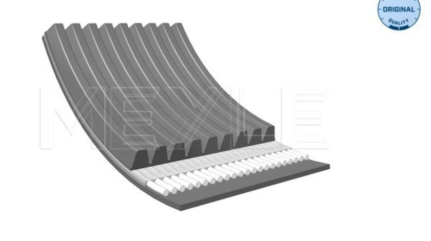 Curea transmisie cu caneluri (0500091825 MEYLE) MERCEDES-BENZ