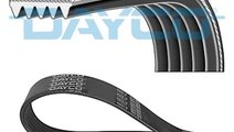 Curea transmisie cu caneluri (5PK1025 DAY) BMW,CAD...