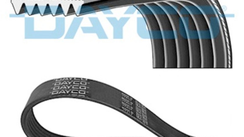 Curea transmisie cu caneluri (6PK1160 DAYCO) Citroen,FIAT,LANCIA,MAN,MERCEDES-BENZ,PEUGEOT