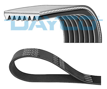 Curea transmisie cu caneluri (7PK1569 DAY) DACIA,NISSAN,RENAULT