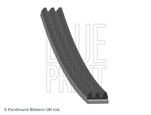 Curea transmisie cu caneluri (AD03S842 BLP) MITSUBISHI