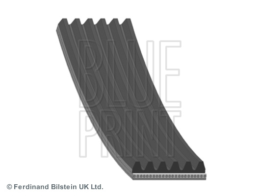 Curea transmisie cu caneluri (AD06R1036 BLP) LEXUS,TOYOTA