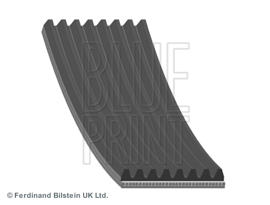 Curea transmisie cu caneluri (AD08R2512 BLP) LAND ROVER