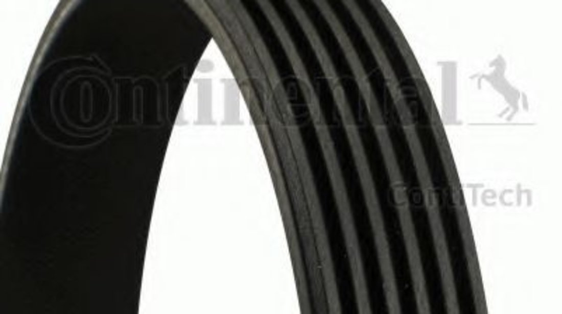 Curea transmisie cu caneluri ALFA ROMEO 146 (930) (1994 - 2001) CONTITECH 6PK1845 piesa NOUA