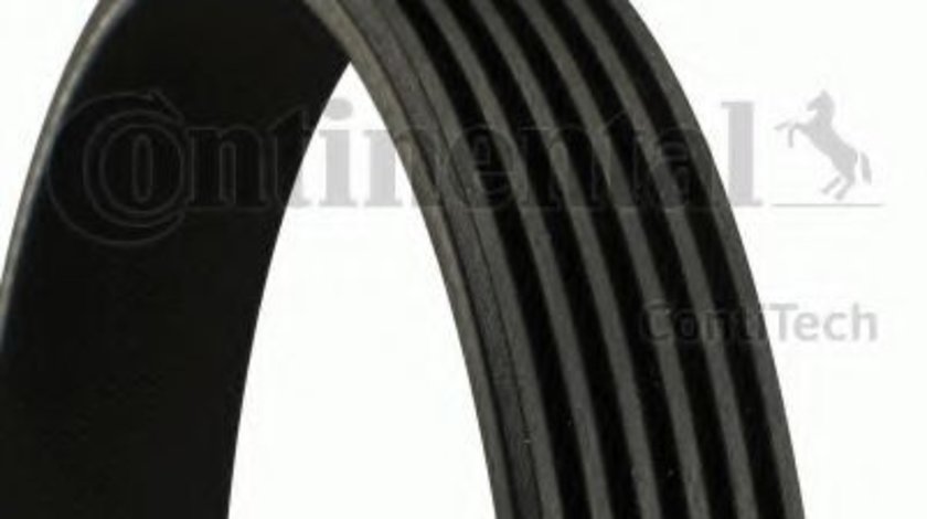 Curea transmisie cu caneluri ALFA ROMEO 159 (939) (2005 - 2011) CONTITECH 6PK1005 piesa NOUA