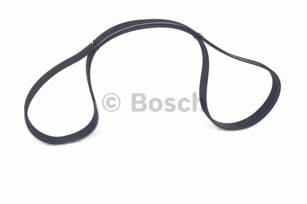 Curea transmisie cu caneluri AUDI A6 Avant (4F5, C6) (2005 - 2011) BOSCH 1 987 946 251 piesa NOUA