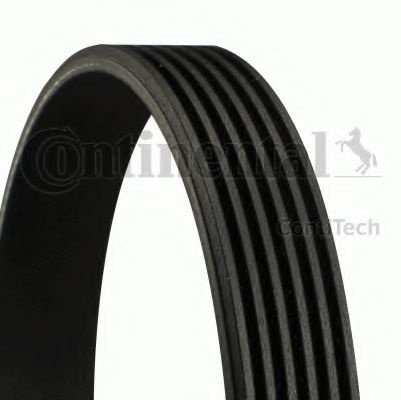 Curea transmisie cu caneluri AUDI Q7 (4L) (2006 - 2015) CONTITECH 6PK2535 piesa NOUA