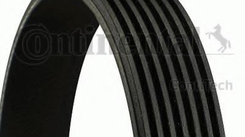 Curea transmisie cu caneluri BMW Seria 1 Cupe (E82) (2007 - 2013) CONTITECH 7PK1855 piesa NOUA