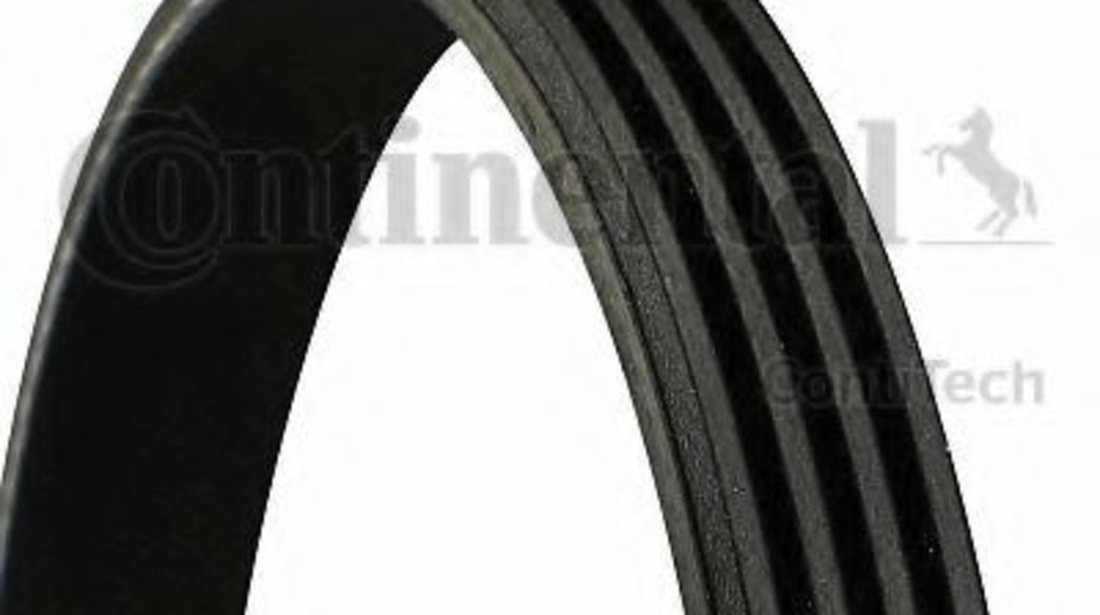 Curea transmisie cu caneluri BMW X5 (E70) (2007 - 2013) CONTITECH 4PK819 ELAST piesa NOUA