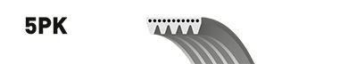 Curea transmisie cu caneluri DACIA LOGAN EXPRESS (FS) (2009 - 2016) GATES 5PK1750 piesa NOUA