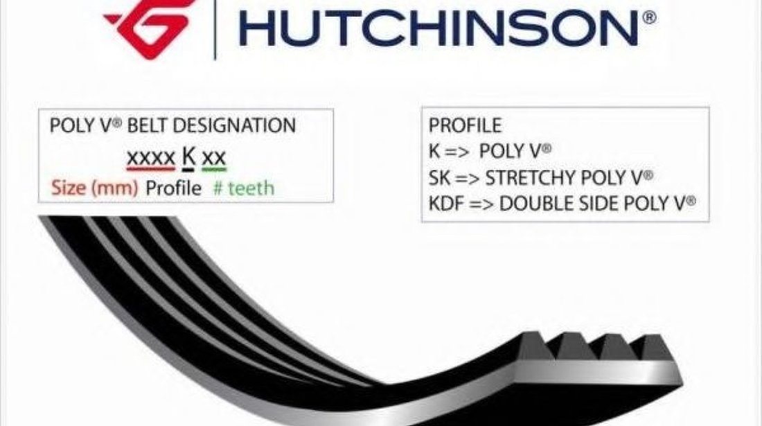 Curea transmisie cu caneluri DAEWOO CIELO limuzina (KLETN) (1995 - 2008) HUTCHINSON 872 K 5 piesa NOUA